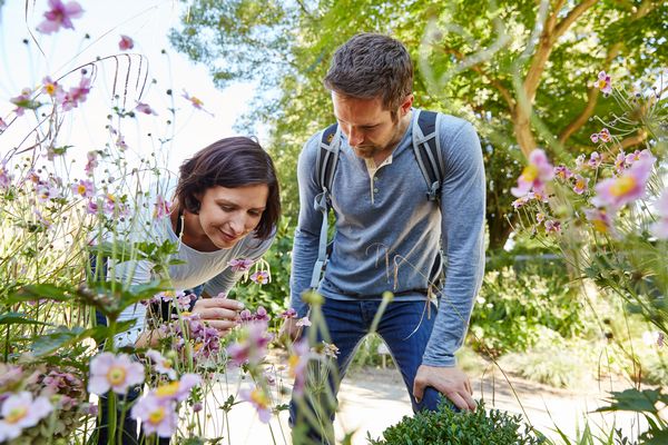 Bibelgarten Werlte - Besucher im Gartenbereich "Schöpfungsgarten" entdecken die Blütenpracht